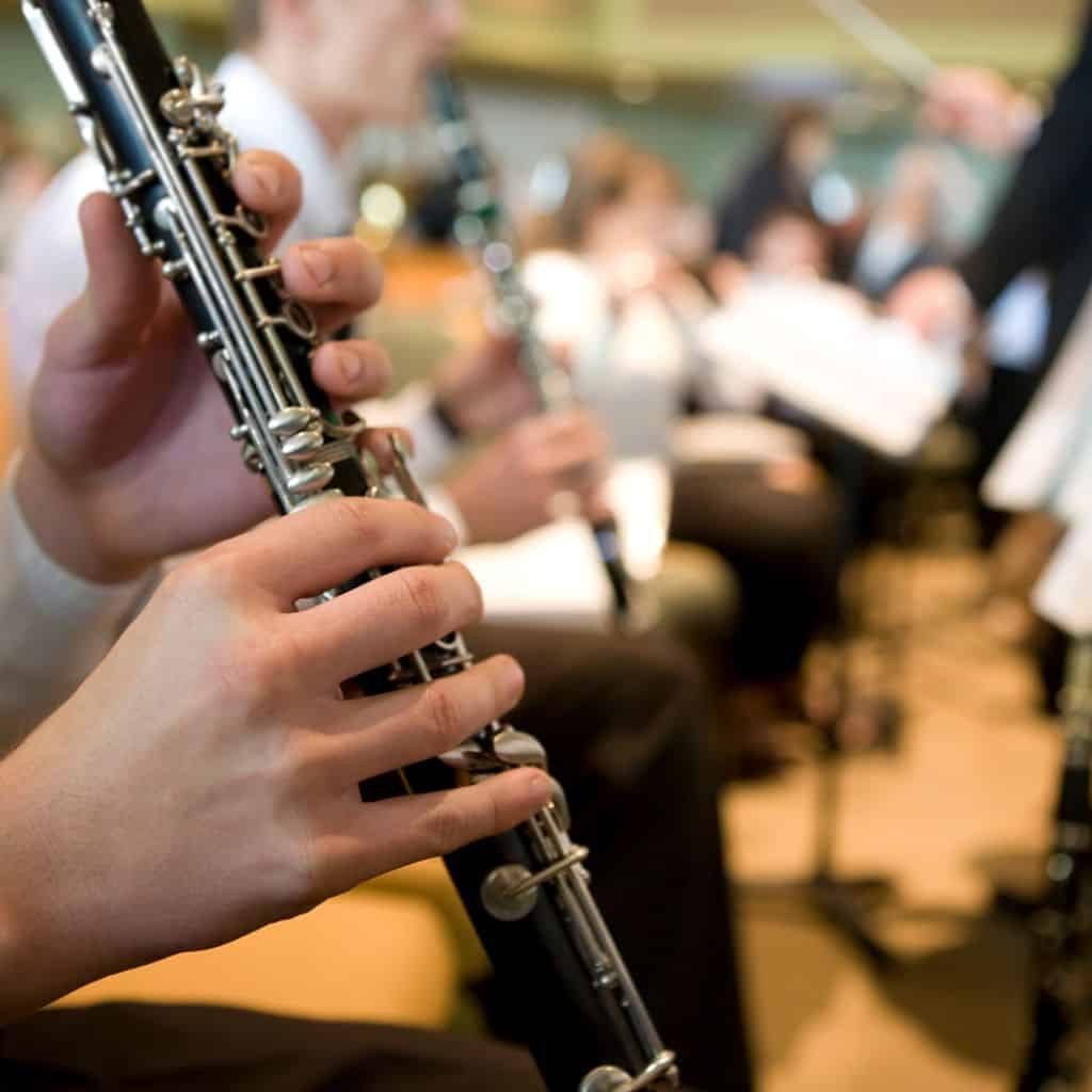 What Is The Difference Between A Contrabass Clarinet And A Bass Clarinet?{ Have you seen this}