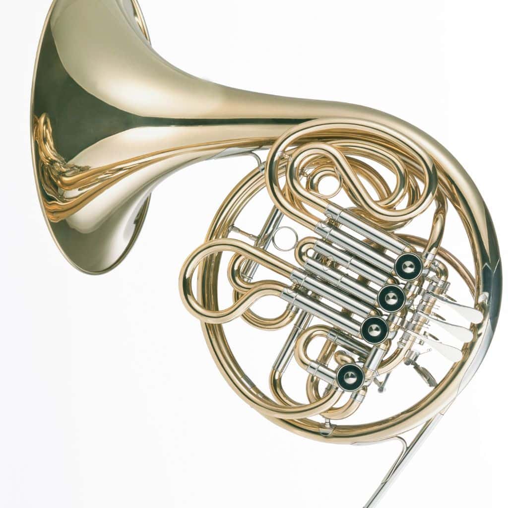 Is A Single Or Double Horn Better For Beginners?